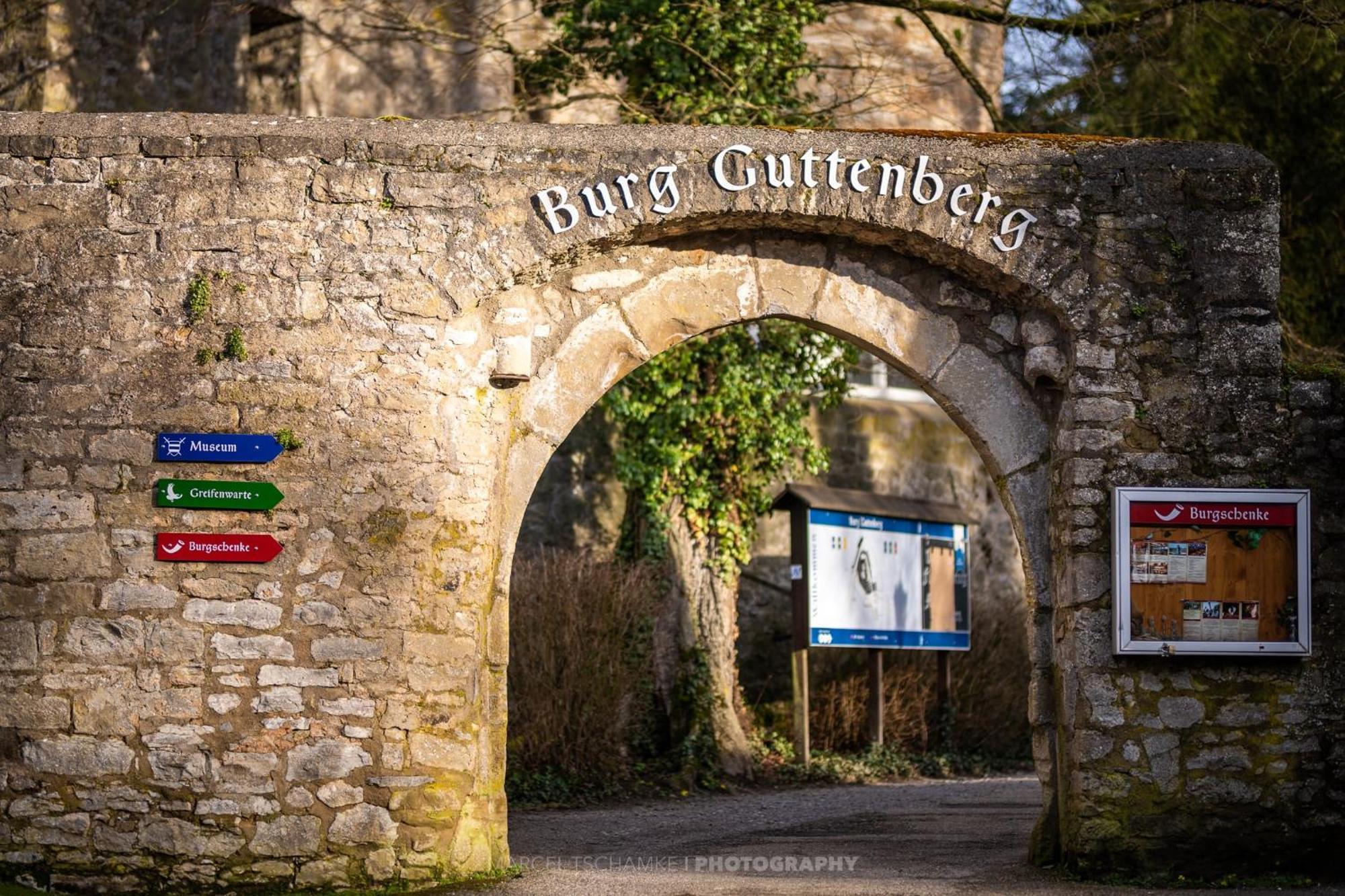 فيلا Wohnen Auf Der Ritterburg Haßmersheim المظهر الخارجي الصورة